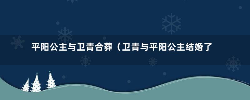 平阳公主与卫青合葬（卫青与平阳公主结婚了吗）