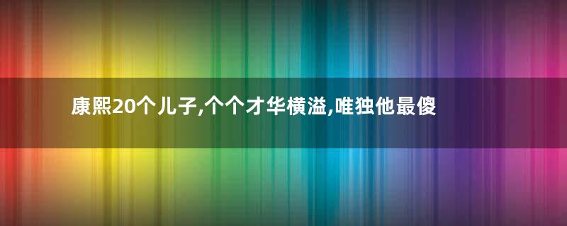 康熙20个儿子,个个才华横溢,唯独他最傻却活得最好