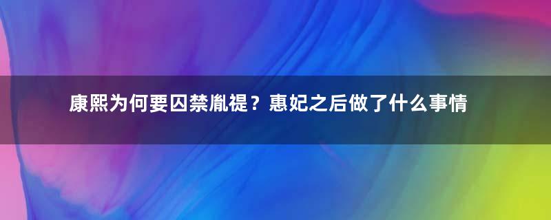 康熙为何要囚禁胤禔？惠妃之后做了什么事情？