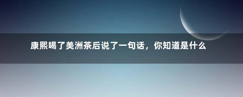 康熙喝了美洲茶后说了一句话，你知道是什么吗？