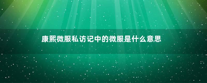 康熙微服私访记中的微服是什么意思