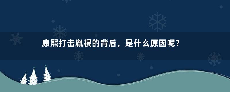 康熙打击胤禩的背后，是什么原因呢？