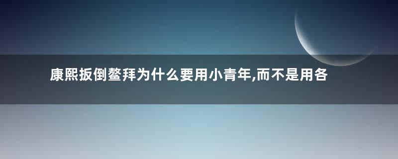 康熙扳倒鳌拜为什么要用小青年,而不是用各种大内高手