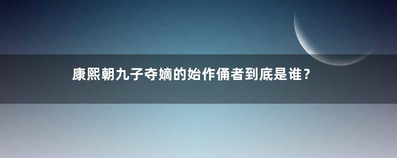 康熙朝九子夺嫡的始作俑者到底是谁？