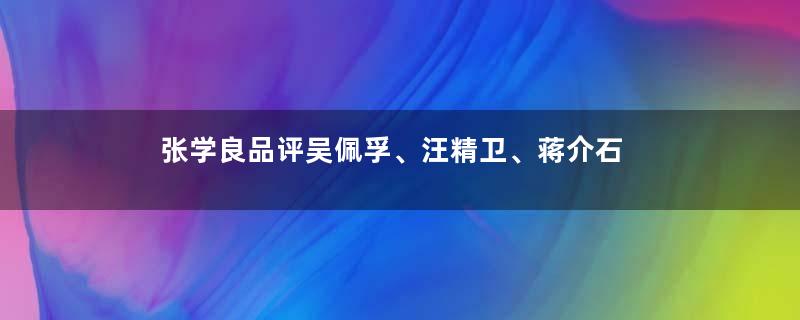 张学良品评吴佩孚、汪精卫、蒋介石