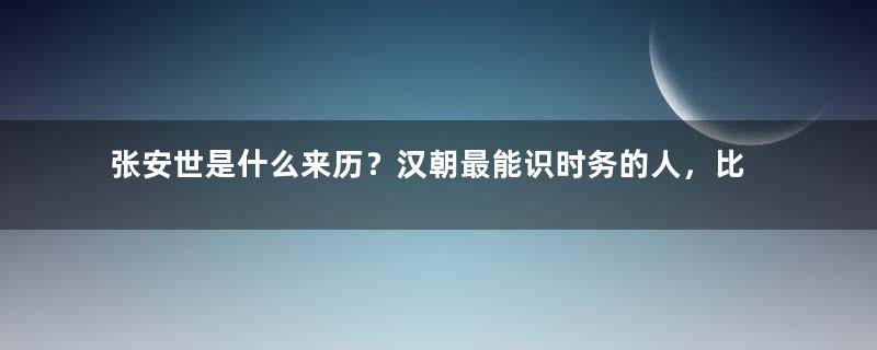 张安世是什么来历？汉朝最能识时务的人，比霍光还成功