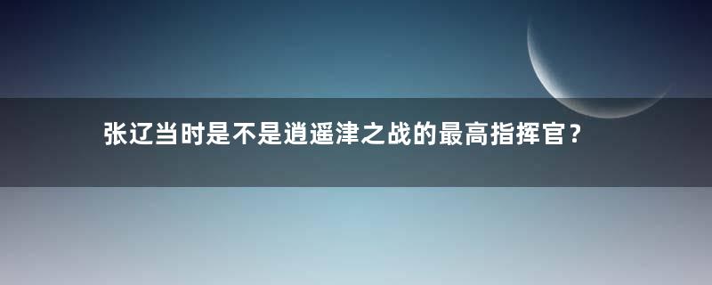 张辽当时是不是逍遥津之战的最高指挥官？