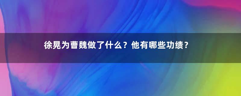 徐晃为曹魏做了什么？他有哪些功绩？