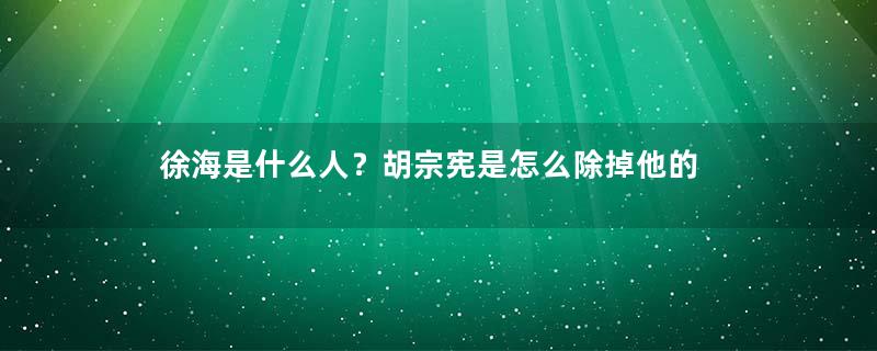 徐海是什么人？胡宗宪是怎么除掉他的