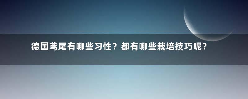 德国鸢尾有哪些习性？都有哪些栽培技巧呢？