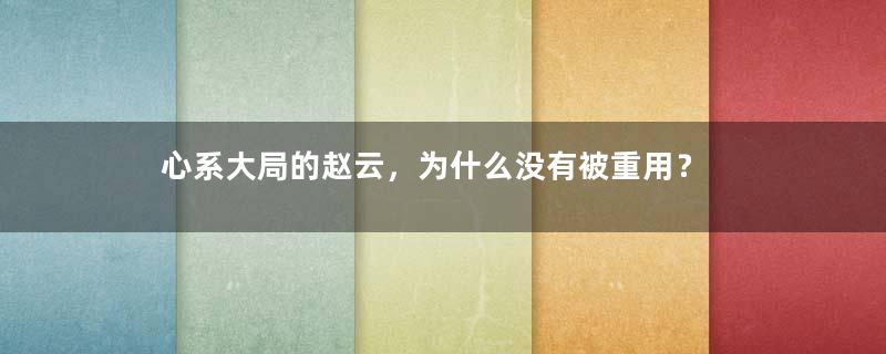 心系大局的赵云，为什么没有被重用？