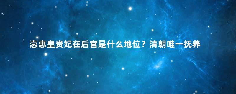 悫惠皇贵妃在后宫是什么地位？清朝唯一抚养过两代帝王的女人