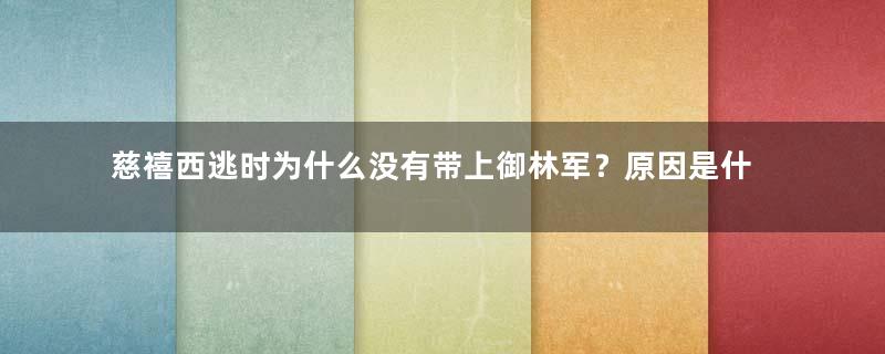 慈禧西逃时为什么没有带上御林军？原因是什么