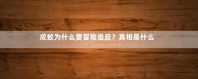 成蛟为什么要冒险造反？真相是什么