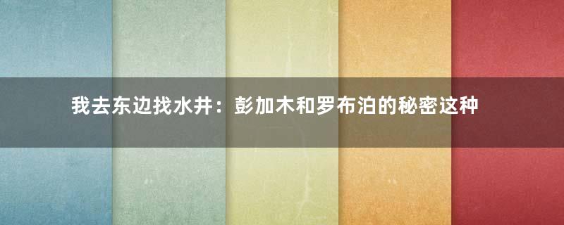 我去东边找水井：彭加木和罗布泊的秘密这种说法比较靠谱