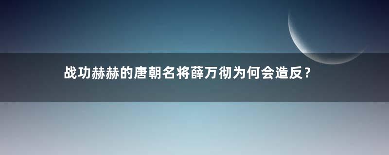 战功赫赫的唐朝名将薛万彻为何会造反？