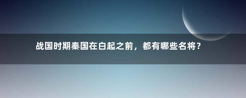 战国时期秦国在白起之前，都有哪些名将？