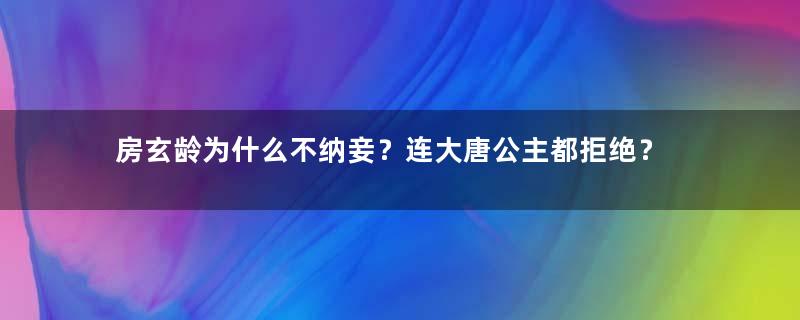 房玄龄为什么不纳妾？连大唐公主都拒绝？