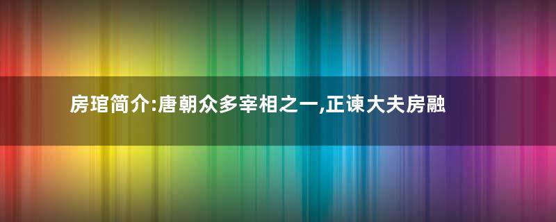 房琯简介:唐朝众多宰相之一,正谏大夫房融之子