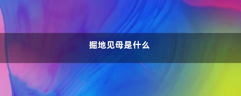 掘地见母是什么