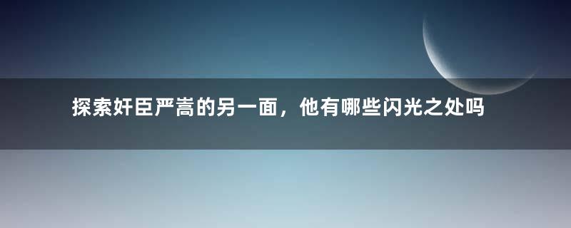 探索奸臣严嵩的另一面，他有哪些闪光之处吗？