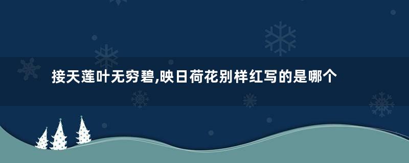 接天莲叶无穷碧,映日荷花别样红写的是哪个湖