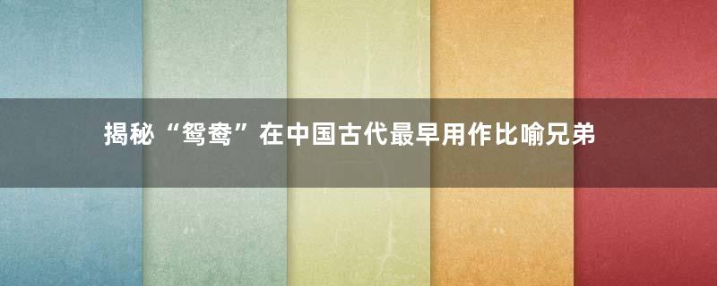 揭秘“鸳鸯”在中国古代最早用作比喻兄弟