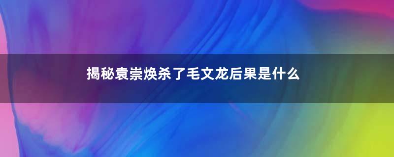 揭秘袁崇焕杀了毛文龙后果是什么