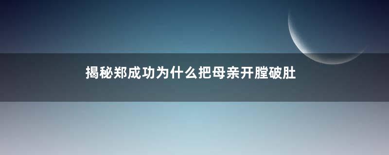 揭秘郑成功为什么把母亲开膛破肚