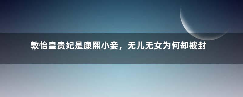 敦怡皇贵妃是康熙小妾，无儿无女为何却被封皇贵妃？