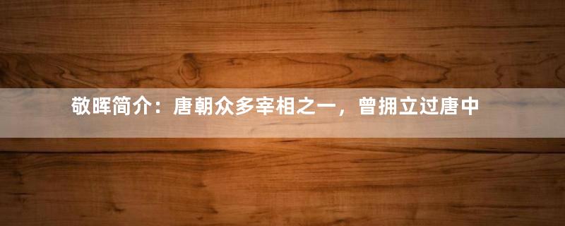 敬晖简介：唐朝众多宰相之一，曾拥立过唐中宗复辟