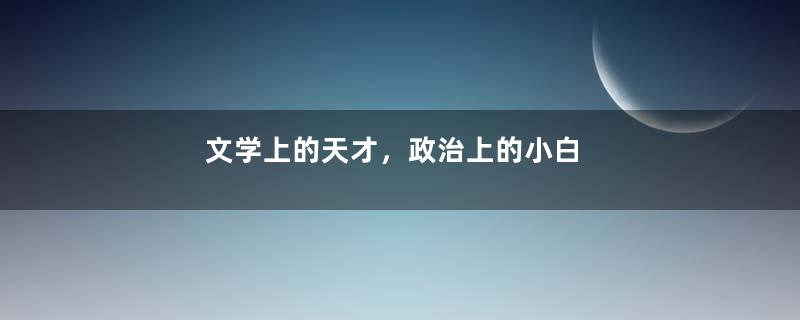文学上的天才，政治上的小白