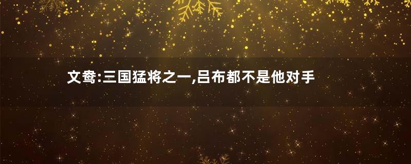 文鸯:三国猛将之一,吕布都不是他对手