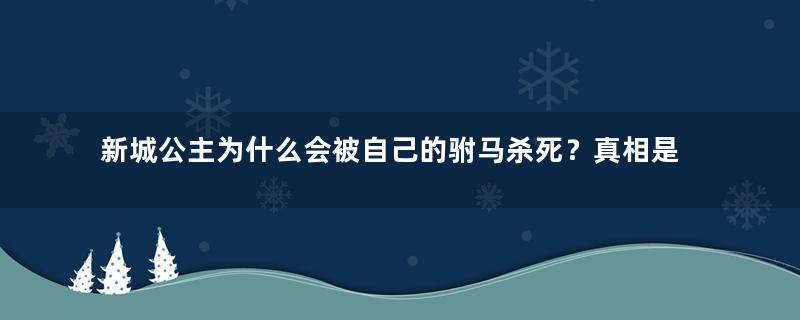 新城公主为什么会被自己的驸马杀死？真相是什么