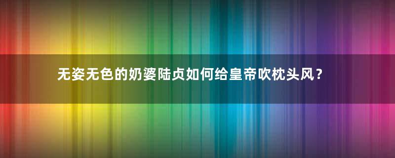 无姿无色的奶婆陆贞如何给皇帝吹枕头风？