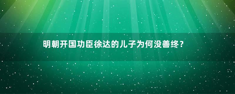 明朝开国功臣徐达的儿子为何没善终？