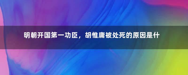 明朝开国第一功臣，胡惟庸被处死的原因是什么？