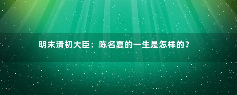 明末清初大臣：陈名夏的一生是怎样的？