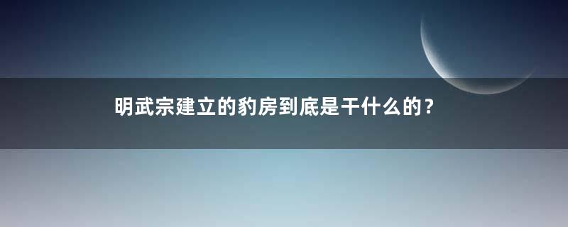 明武宗建立的豹房到底是干什么的？