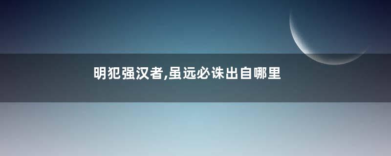 明犯强汉者,虽远必诛出自哪里