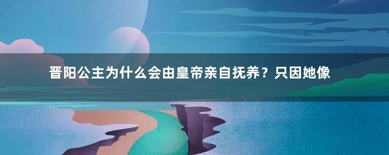 晋阳公主为什么会由皇帝亲自抚养？只因她像极了一个人