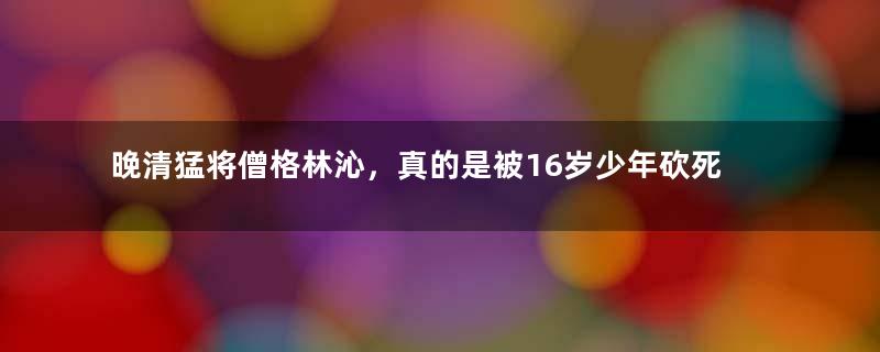 晚清猛将僧格林沁，真的是被16岁少年砍死在麦田吗？