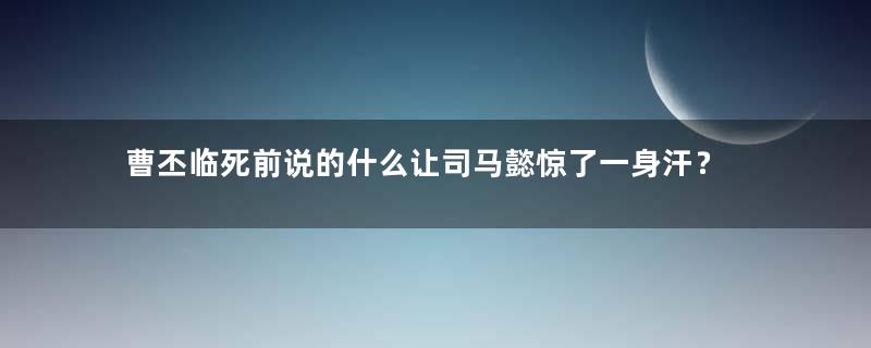 曹丕临死前说的什么让司马懿惊了一身汗？