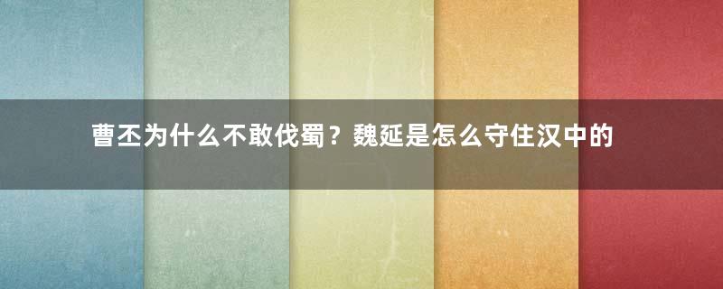 曹丕为什么不敢伐蜀？魏延是怎么守住汉中的