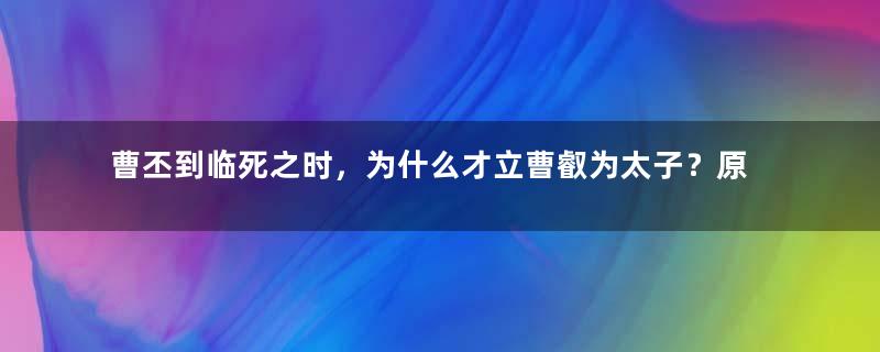 曹丕到临死之时，为什么才立曹叡为太子？原因是什么