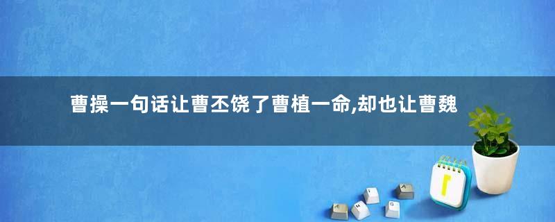 曹操一句话让曹丕饶了曹植一命,却也让曹魏陷入危机