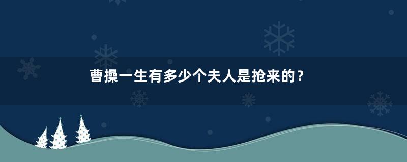 曹操一生有多少个夫人是抢来的？