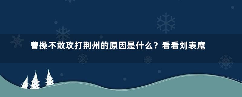 曹操不敢攻打荆州的原因是什么？看看刘表麾下的五虎上将