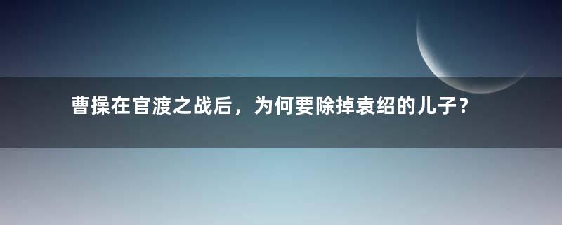 曹操在官渡之战后，为何要除掉袁绍的儿子？