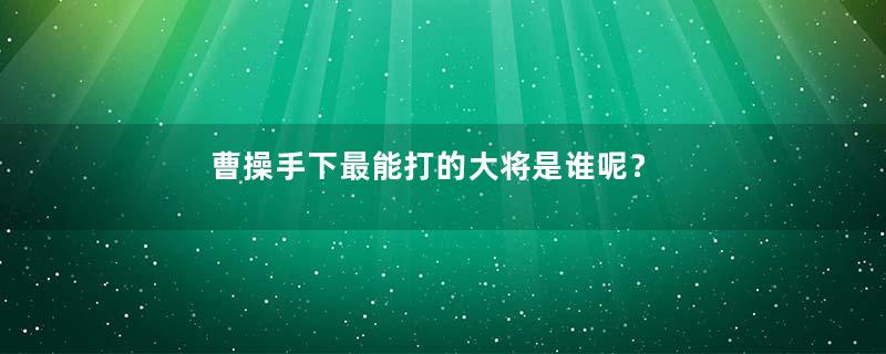 曹操手下最能打的大将是谁呢？